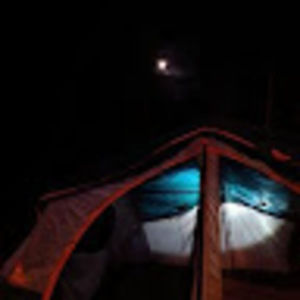 Meet your Posher, Gray